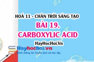 Carboxylic Acid cấu tạo, tính chất hoá học, tính chất vật lí của Carboxylic, điều chế và ứng dụng? Hoá 11 chân trời bài 19